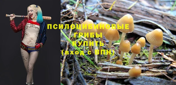apvp Богородицк