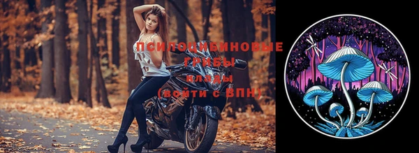 прущая мука Богданович