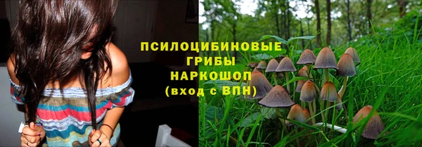 apvp Богородицк
