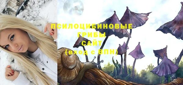 прущая мука Богданович