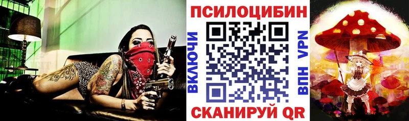 Галлюциногенные грибы GOLDEN TEACHER  Купить  Белогорск 